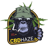 Gorille Cbd Haze® qui fume une cigarette CBD